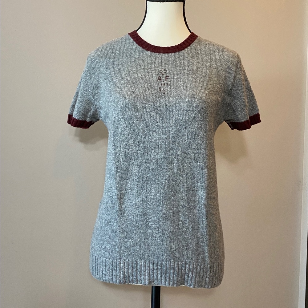 Abercrombie & Fitch Vintage wool blend knit T-shirt Size M EUC gray/burgundy